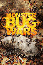 Monster Bug Wars Season 1 Episode 5
