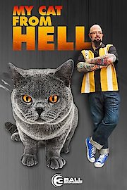 My Cat From Hell Season 11 Episode 2